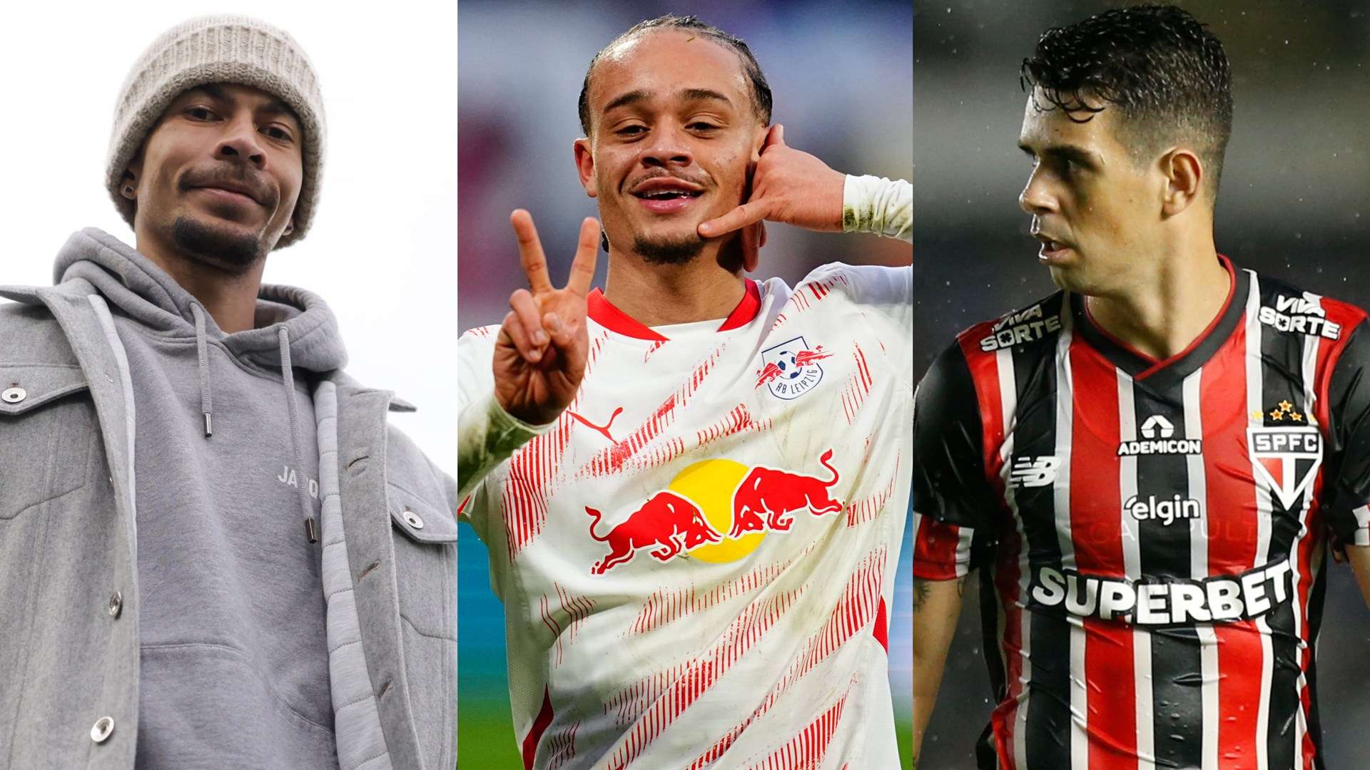 的多面手属 的多面手属